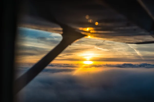 在日落时的飞行 — 图库照片