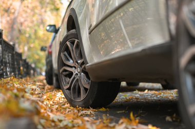 Sonbahar yolundaki yeni eski araba böceği gri arabası.