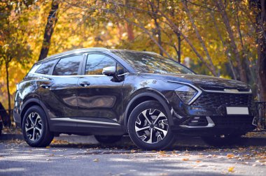 Sonbahar yolundaki yeni eski araba böceği gri arabası.