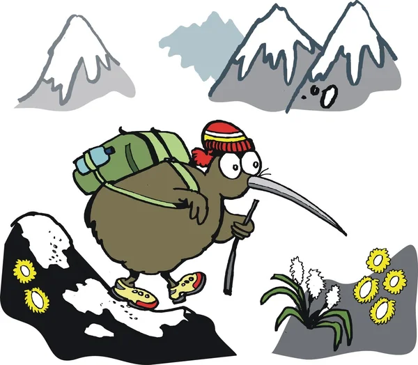 Ptaków kiwi piesze wycieczki w góry — Wektor stockowy