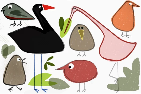 Caricature de groupe d'oiseaux drôles — Photo