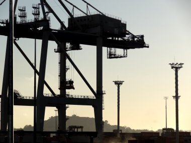 Yeni Zelanda Auckland limanda vinç