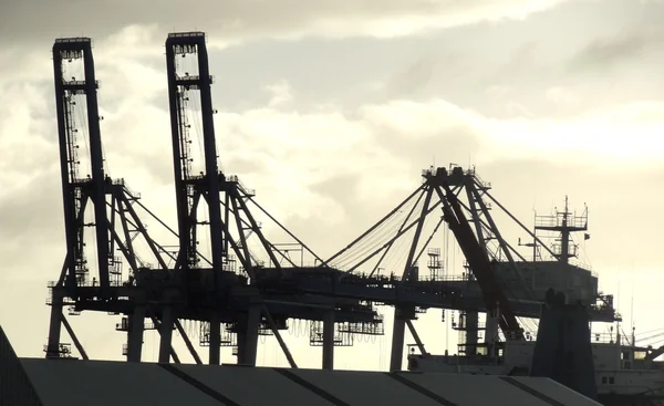 Daruk kikötőben Auckland, Új-Zéland — Stock Fotó