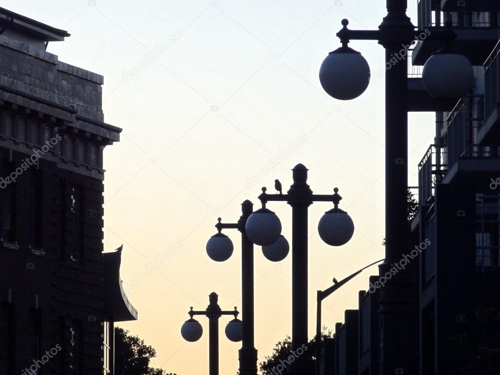 silhouette of street lamps in city