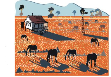Avustralya outback atları