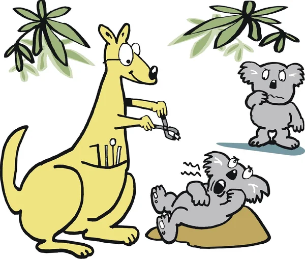 Vektor-Karikatur eines Känguru-Zahnarztes, der Koala-Patienten im australischen Outback Zähne entnimmt — Stockvektor