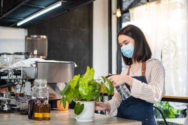 Kafkasyalı güzel kahve dükkanı sahibi Covid-19 salgınından dolayı koruyucu maske takıyor ve kahve evindeki yeşil yaprağa su püskürtüyor. Genç garson, cafe restoranını tropikal saksı bitkileriyle süslüyor..