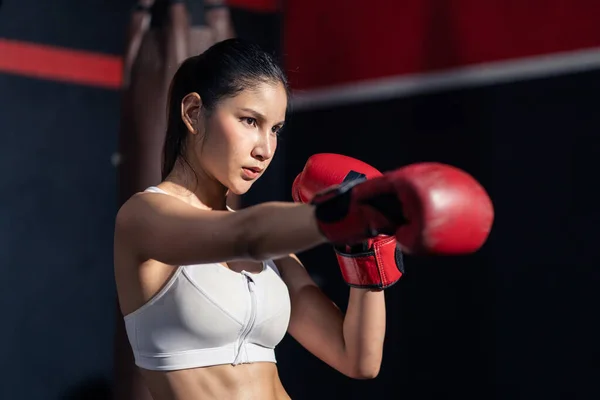 Portrait of Asian beautiful sport girl athlete wear boxing gloves, practice hitting and punching to maintain muscle for health. Active Boxer fighter workout exercise then look at camera in fitness gym