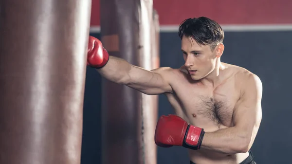 Caucásico Activo Profesional Atractivo Deportista Hombre Ropa Deportiva Guantes Boxeo —  Fotos de Stock