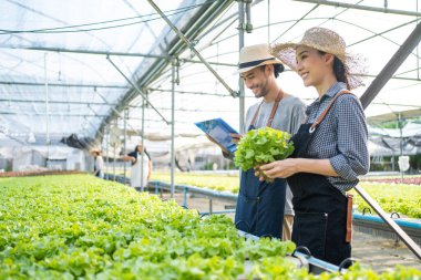 Serada birlikte çalışan iki kişi sebze yetiştiriyor.