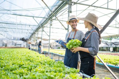 İki kişi seranın içinde salata dolu bitkileri tartışıyor.