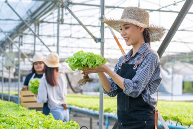 Seranın içinde elinde taze marul tutan kadın gülümsüyor.
