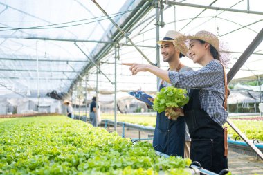 İki insan gülümsüyor ve yeşil marul bitkilerini işaret ediyor.