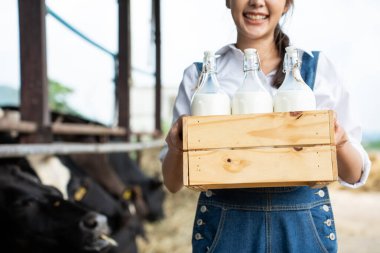 İnek ahırında süt şişesi tutan Asyalı kadın mandıra çiftçisi portresi. Genç ve güzel bir kadın tarım çiftçisi gülümseyerek çiftlik hayvancılık endüstrisinde ineği mutlulukla sağdıktan sonra kameraya bakar..
