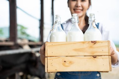 İnek ahırında süt şişesi tutan Asyalı kadın mandıra çiftçisi portresi. Genç ve güzel bir kadın tarım çiftçisi gülümseyerek çiftlik hayvancılık endüstrisinde ineği mutlulukla sağdıktan sonra kameraya bakar..