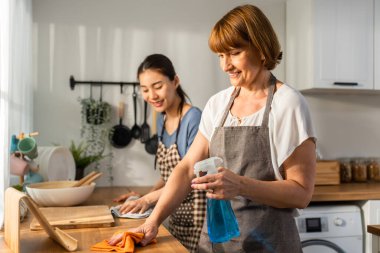Beyaz, yaşlı, yaşlı bir kadın kızıyla birlikte mutfağı temizliyor. Çekici kadın hizmetçi ve olgun temizlikçi önlük giyer, ev işleri ya da ev işleri için çalışırken mutlu olur ve rahatlar..