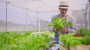 Asyalı çiftçiler sebze çiftliğinde mutlulukla çalışıyorlar.