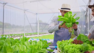 Asyalı çiftçiler sebze çiftliğinde mutlulukla çalışıyorlar.