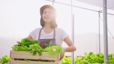 Asyalı çiftçi kadın sebze çiftliğinde mutlulukla çalışıyor.