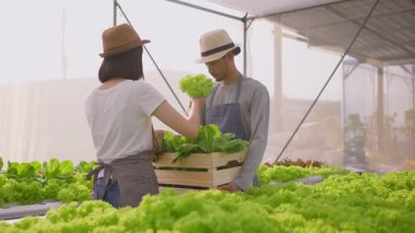 Asyalı çiftçiler sebze çiftliğinde mutlulukla çalışıyorlar.