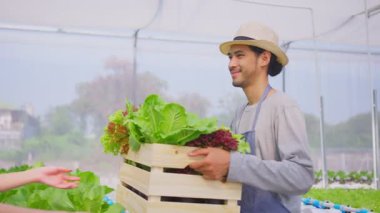Sebze çiftliğinde çalışan yakışıklı erkek çiftçi.