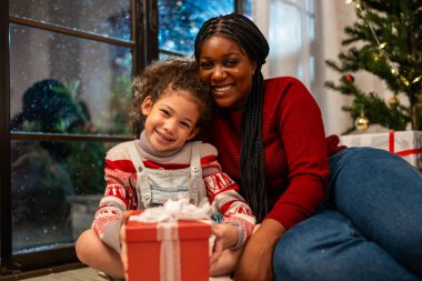 Afro-Amerikan aile portresi Noel partisini evde kutluyor. Çekici genç anne küçük kızıyla oturup Noel 'in, Şükran Günü' nün ve kameraya bakmanın tadını çıkarıyor.