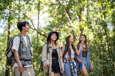 Bir grup Asyalı sırt çantalı insan ormanda birlikte seyahat ederken eğleniyor. Çekici erkek ve kadın arkadaşlar yaz tatili gezisinde doğa odunlarını mutlulukla keşfediyorlar.