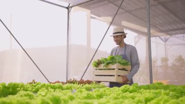 Sebze çiftliğinde çalışan yakışıklı erkek çiftçi.