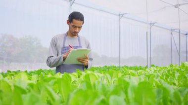 Sebze çiftliğinde çalışan yakışıklı erkek çiftçi.