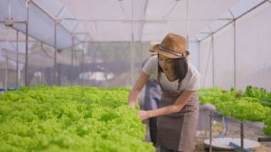 Asyalı çiftçiler sebze çiftliğinde mutlulukla çalışıyorlar.