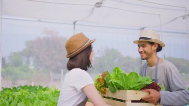 Hidroponik seradaki güzel çiftçi kız..