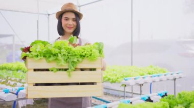 Asyalı güzel çiftçi kız sebze çiftliğinde çalışıyor.