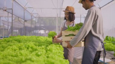 Asyalı çiftçiler sebze çiftliğinde çalışıyor. Tarım sektörü kavramı