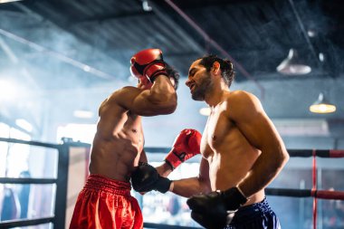 İki genç profesyonel boksör sahnede bir yarışma düzenliyor. Çekici erkek atlet dövüşçüleri kaslı üstsüz yumruklar ve vurucu rakipler stadyumdaki ringde boks egzersizlerinin keyfini çıkarıyorlar..