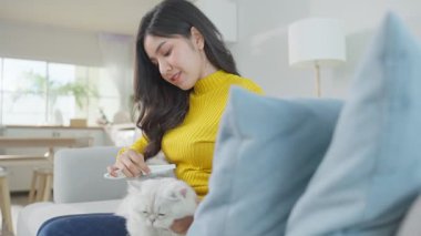 Genç bir kadın evde otururken kediyi fırçalıyor.