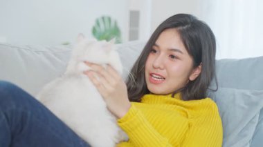 Sarı kazak giyen kadın beyaz kedi tutuyor.