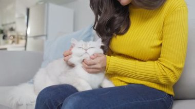 Genç bir kadın evde tüylü beyaz bir kediyi okşuyor..