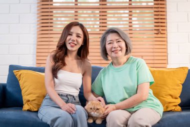 Asyalı genç kadın portresi ve evcil kedili yaşlı büyükanne. Çekici yaşlı büyükanne mutlu ve rahatlamış hissediyor, kızıyla ve kahverengi tüylü İranlı kedi yavrusuyla eğleniyor..