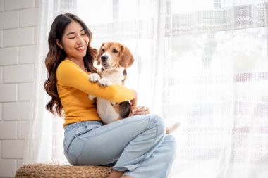 Asyalı genç bir kadın evinde av köpeğini tutuyor. Çekici ev sahibi kız kendini mutlu ve rahat hissediyor, eğleniyor ve evdeki pencerenin önünde sevimli köpek yavrusuyla oynuyor.