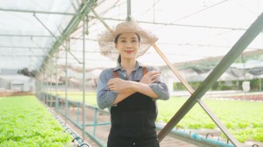 Asyalı mutlu kadın serada marul toplarken poz veriyor..