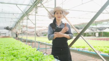 Asyalı genç ve güzel kadın çiftçi sebze çiftliğinde çalışıyor. Tarım sektörü kavramı.