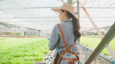 Asyalı genç ve güzel kadın çiftçi sebze çiftliğinde çalışıyor. Tarım sektörü kavramı.