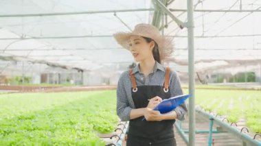 Asyalı genç ve güzel kadın çiftçi sebze çiftliğinde çalışıyor. Tarım sektörü kavramı.
