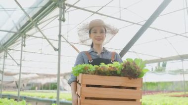 Serada tahta sandık dolusu sebze taşıyan mutlu Asyalı bir kadın..