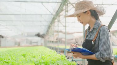 Asian young beautiful woman farmer work in vegetables hydroponic farm. Agriculture business concept.