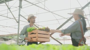 Asyalı çiftçiler sebze çiftliğinde çalışıyor. Tarım sektörü kavramı