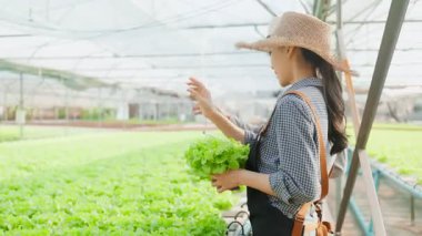 Asyalı erkek ve kadın seradaki bitkileri inceliyor..