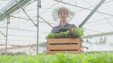 Serada tahta sandık dolusu sebze taşıyan mutlu Asyalı bir kadın..