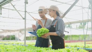 Mutlu Asyalı erkek ve kadın seradaki bitkileri inceliyor..