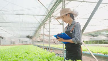 Seradaki bitkileri inceleyen Asyalı kadın..